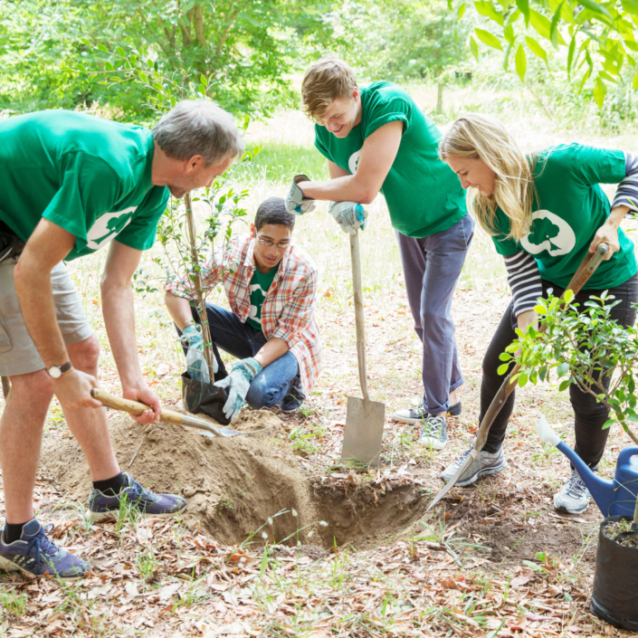Green Canopy